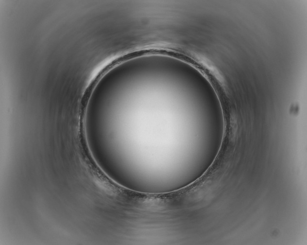 X0000090771316200707201430