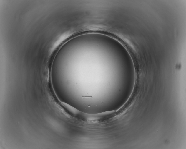 X0000090771317200707201430