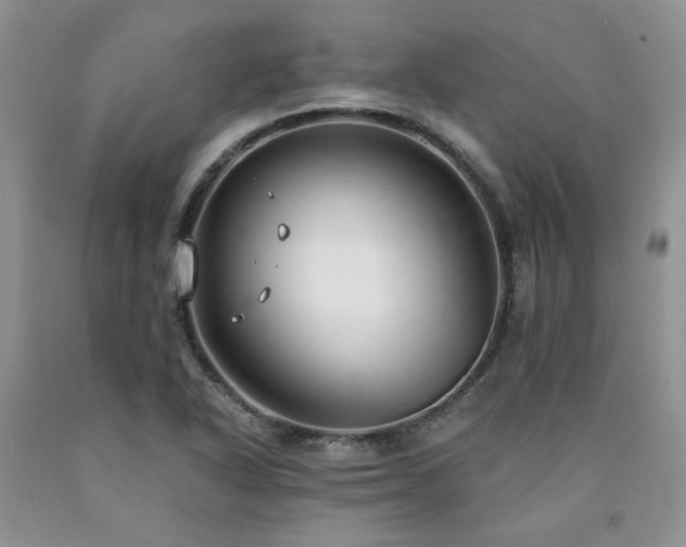 X0000090771318200707201430