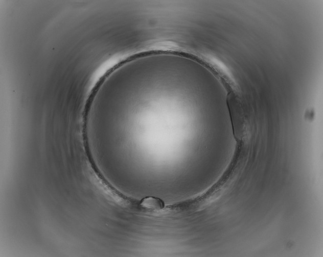 X0000090771326200707201430