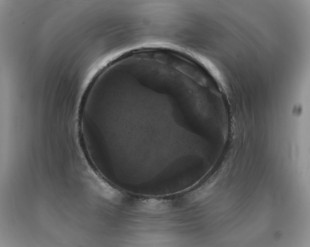 X0000090771327200707201430