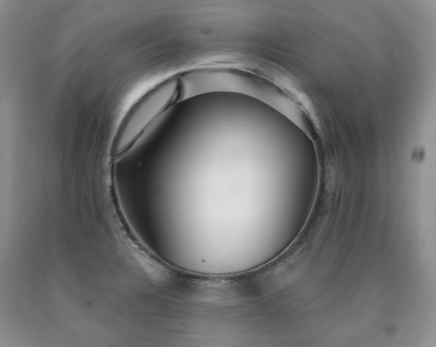 X0000090771328200707201430