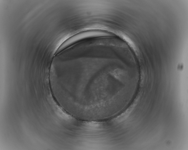 X0000090771329200707201430