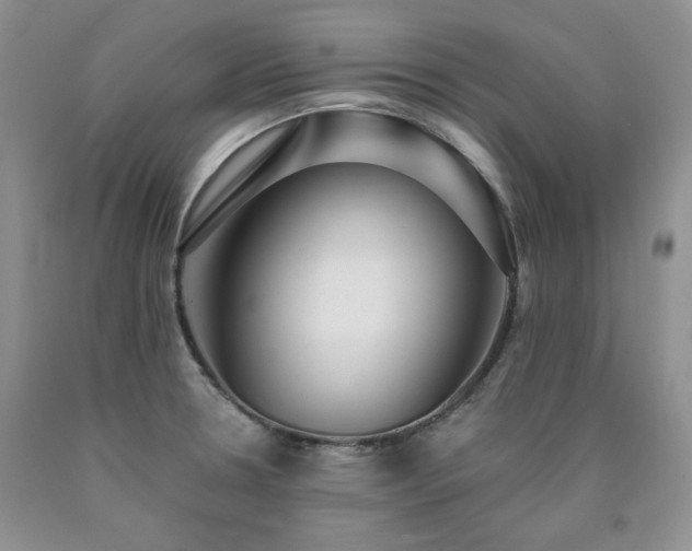X0000090771330200707201430