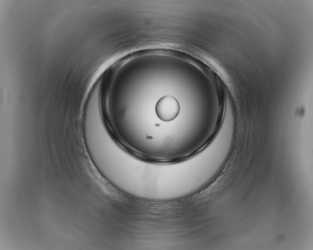 X0000090771332200707201431