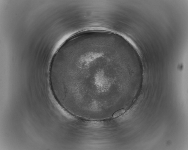 X0000090771333200707201431