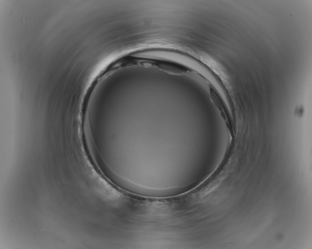X0000090771334200707201431
