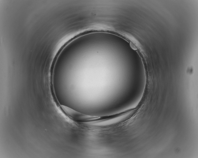 X0000090771335200707201431