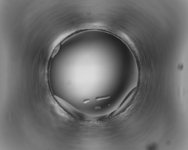 X0000090771336200707201431