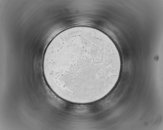 X0000090771338200707201431