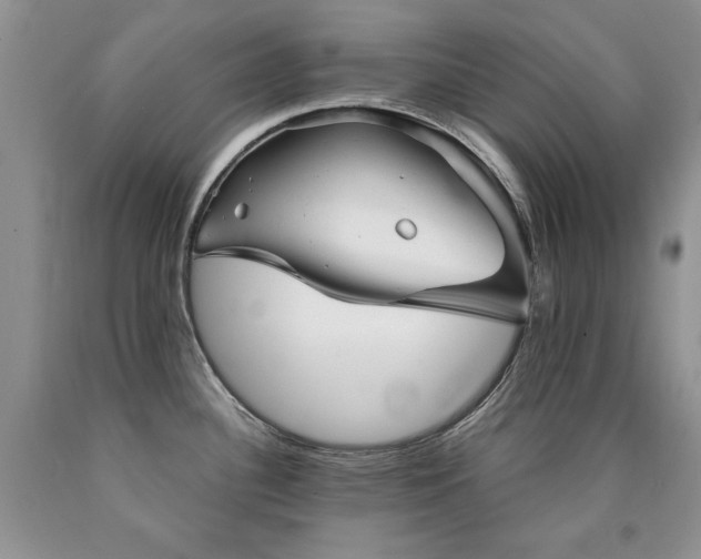 X0000090771340200707201431