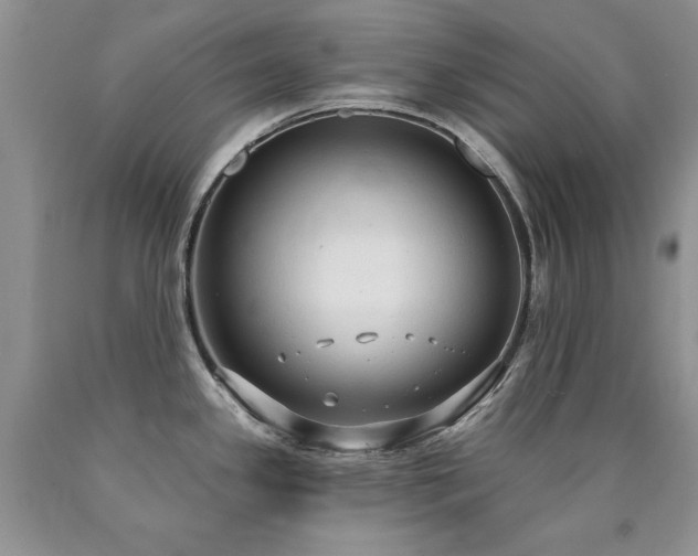 X0000090771341200707201431
