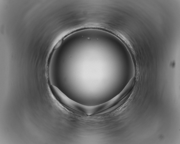 X0000090771342200707201431