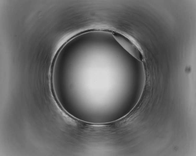 X0000090771343200707201431