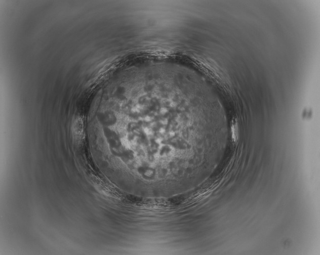 X0000090771347200707201430