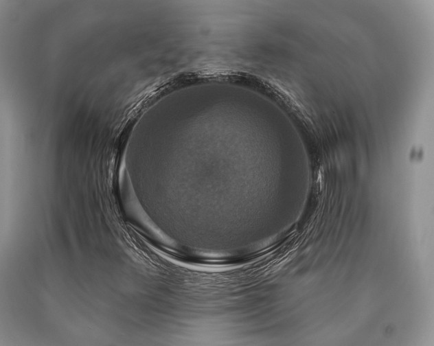 X0000090771348200707201430