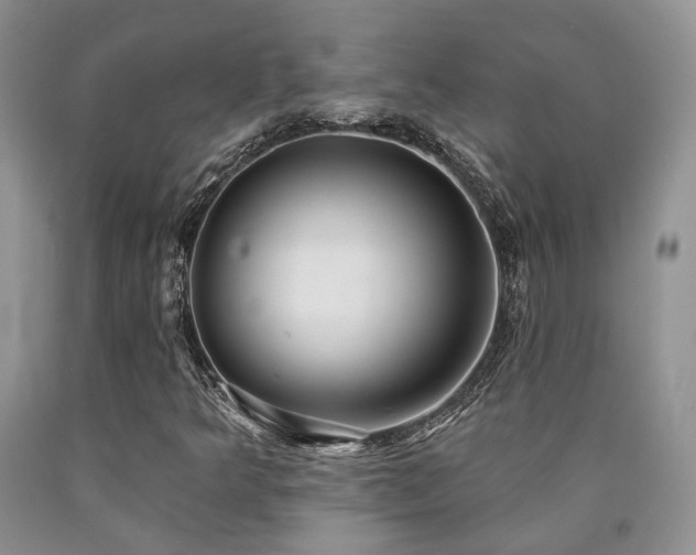 X0000090771349200707201430