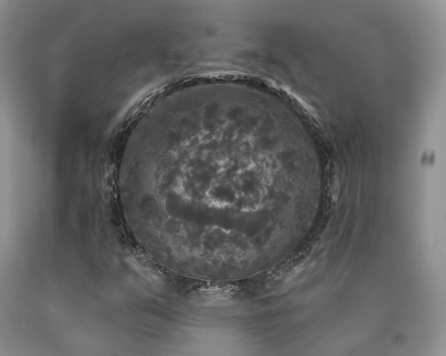 X0000090771351200707201430