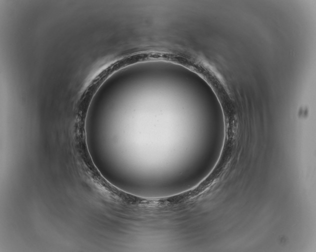 X0000090771352200707201430