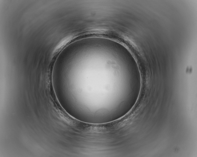 X0000090771354200707201430