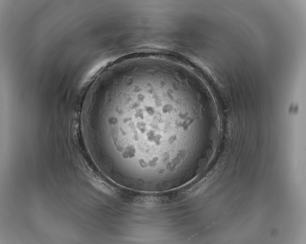 X0000090771355200707201430