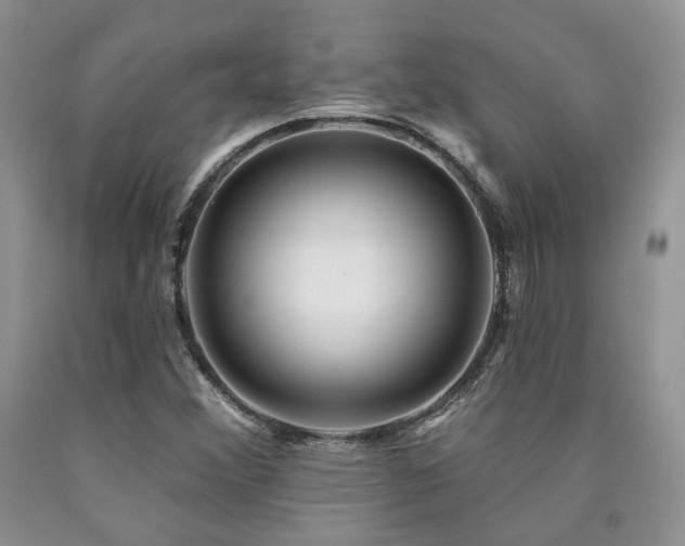 X0000090771356200707201430