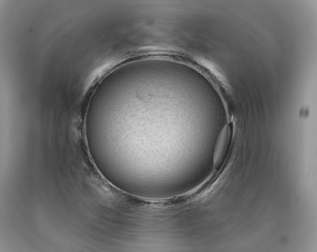 X0000090771357200707201430