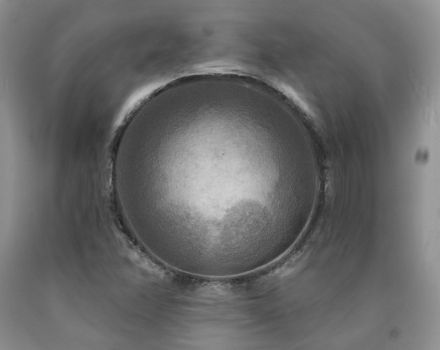 X0000090771358200707201430