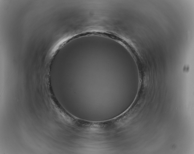 X0000090771359200707201430