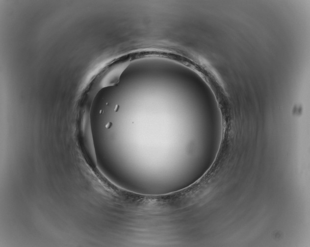 X0000090771360200707201430