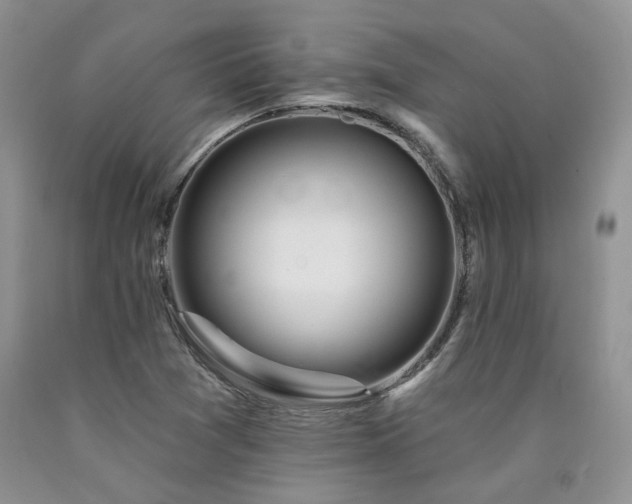 X0000090771361200707201430