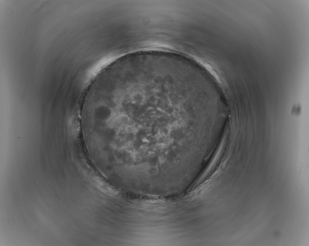 X0000090771363200707201430