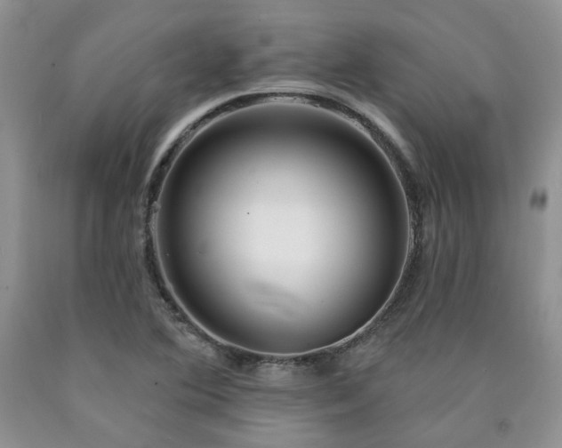 X0000090771364200707201430
