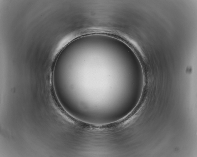 X0000090771365200707201430