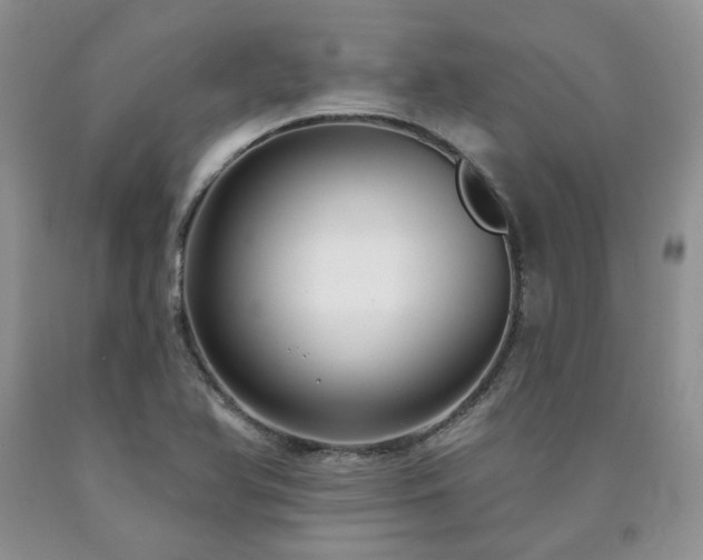 X0000090771366200707201430