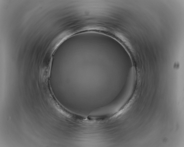 X0000090771369200707201430