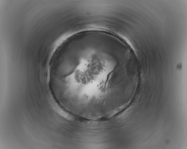 X0000090771371200707201430