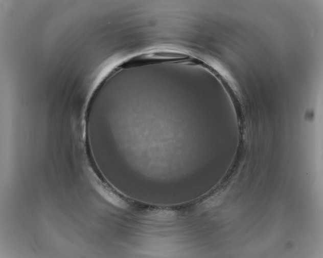 X0000090771372200707201430
