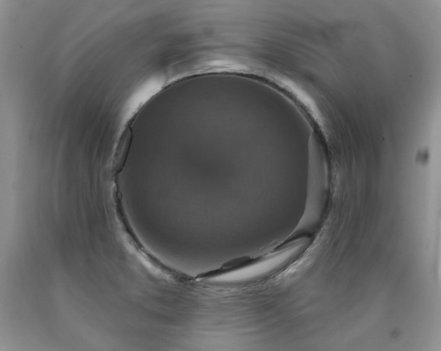 X0000090771373200707201430