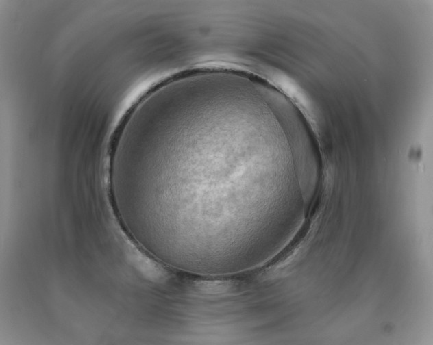 X0000090771376200707201430