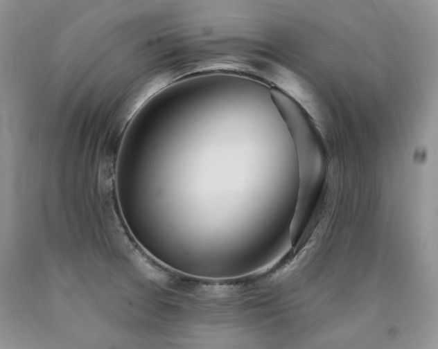 X0000090771377200707201430