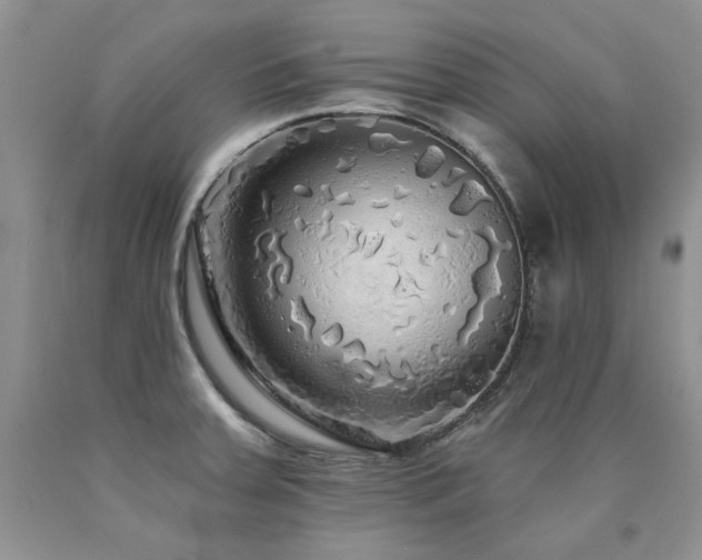 X0000090771379200707201430