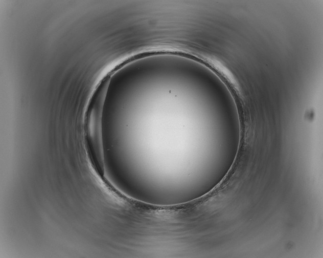 X0000090771380200707201430