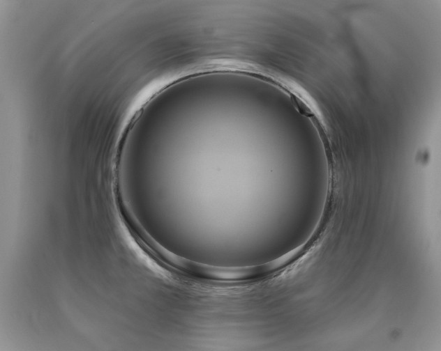 X0000090771381200707201430