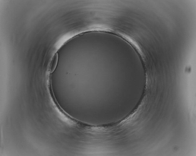 X0000090771383200707201430
