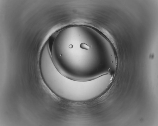 X0000090771384200707201430
