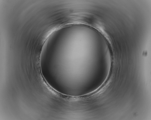X0000090771385200707201430