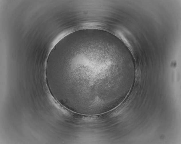 X0000090771386200707201430