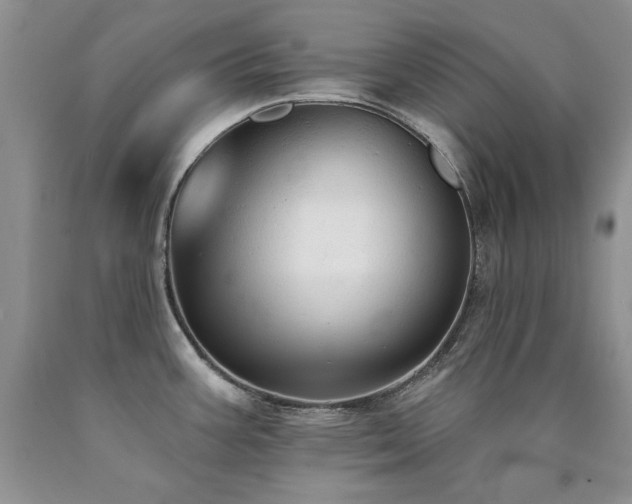 X0000090771387200707201430
