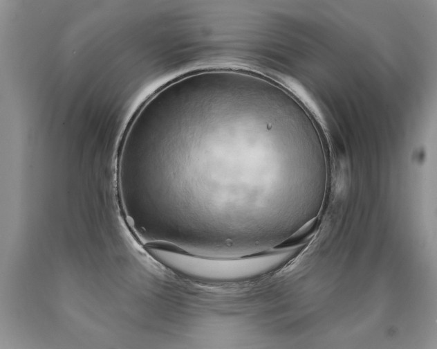 X0000090771388200707201430